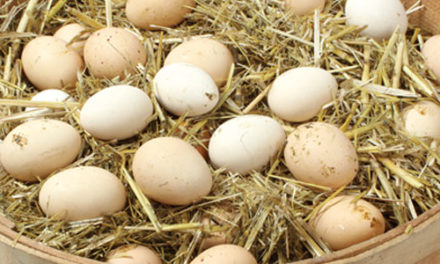 Canan Karatay: Doğal ürünler