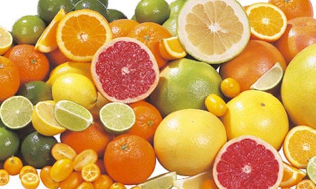 Canan Karatay turunçgillere savaş açtı