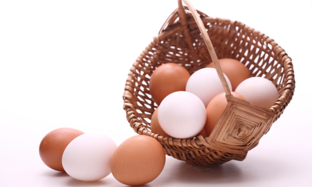 Canan Karatay’tan ilginç tavsiye: Mideniz kaldırıyorsa günde 10 tane yiyin