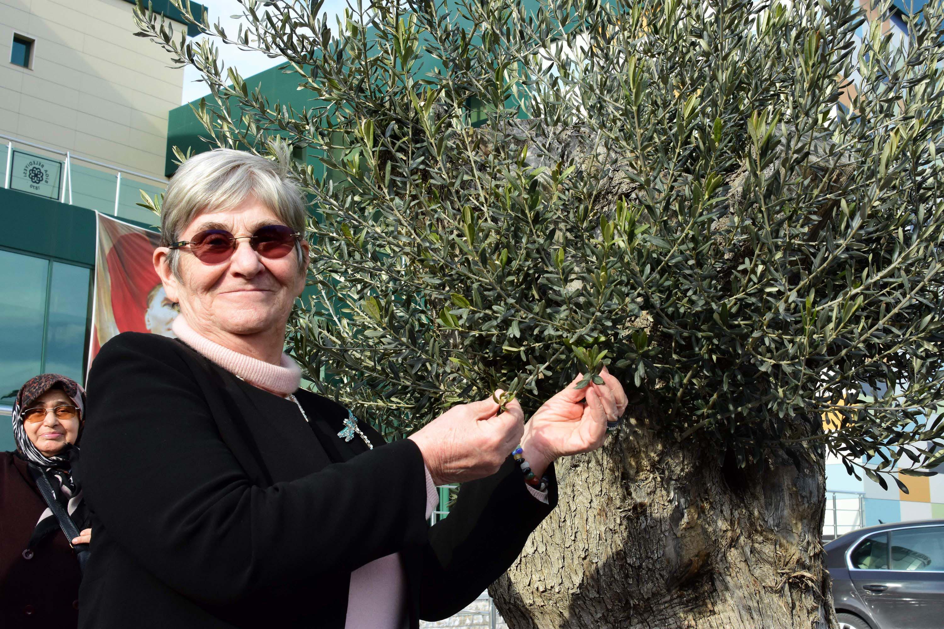 Boyunuzun uzaması için yağ ve protein yiyeceksiniz. Karbonhidrat yedikçe kısalırsınız