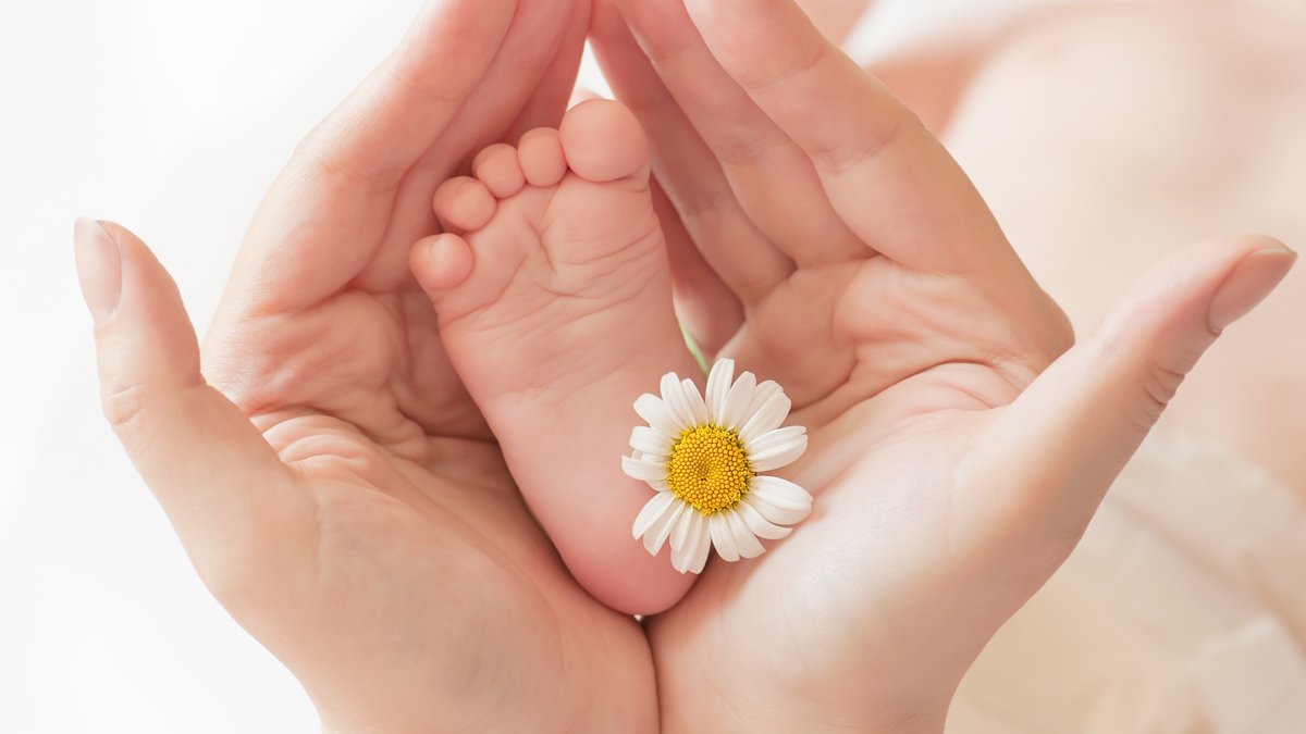 Zeytinyağı anne sütüne eş !